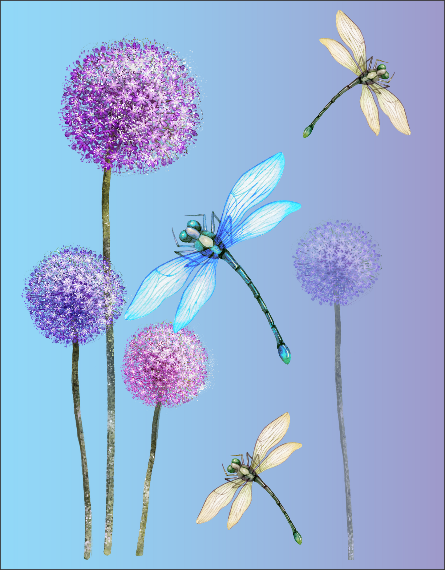Dragonflies 7x9