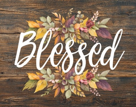 Barn Wood Blessed with Flowers