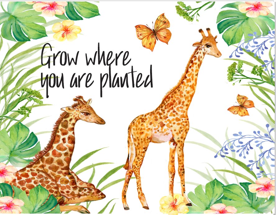 Grow Where You Are Planted