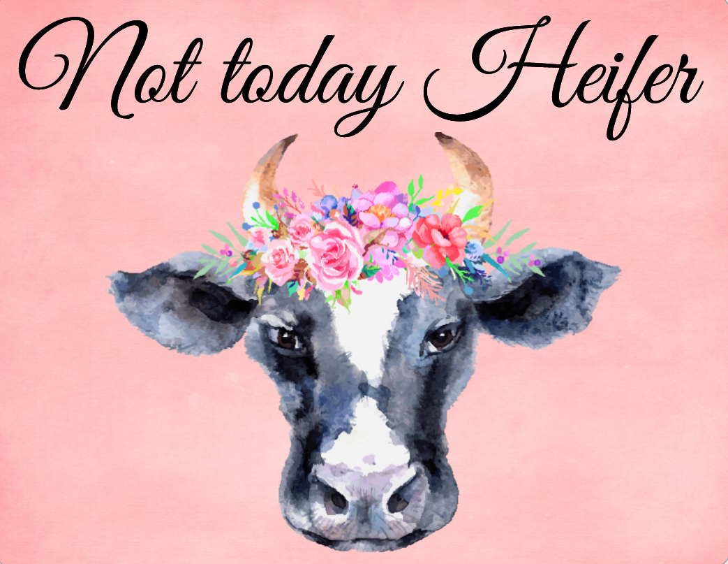 Not today Heifer sign
