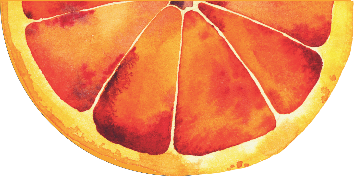 Blood Orange slice 6x12 Half Circle