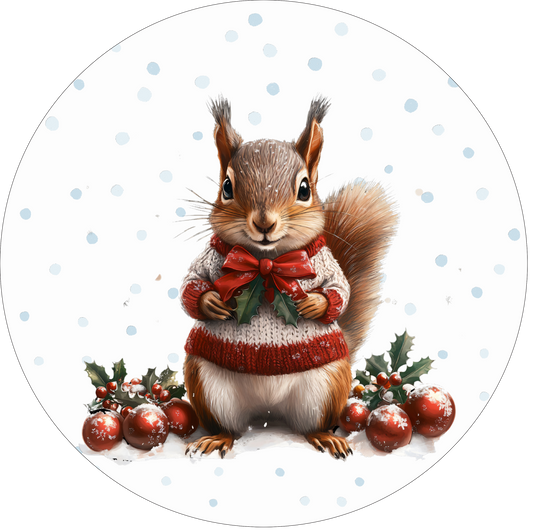 Squirrel in snow Round Sign