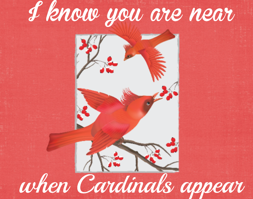 Cardinal sign when you are near cardinals appear – RCL Signs and More