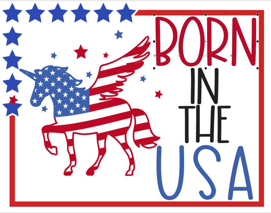 Born in the USA unicorn