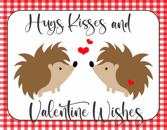 Hugs Kisses and Valentine Wishes