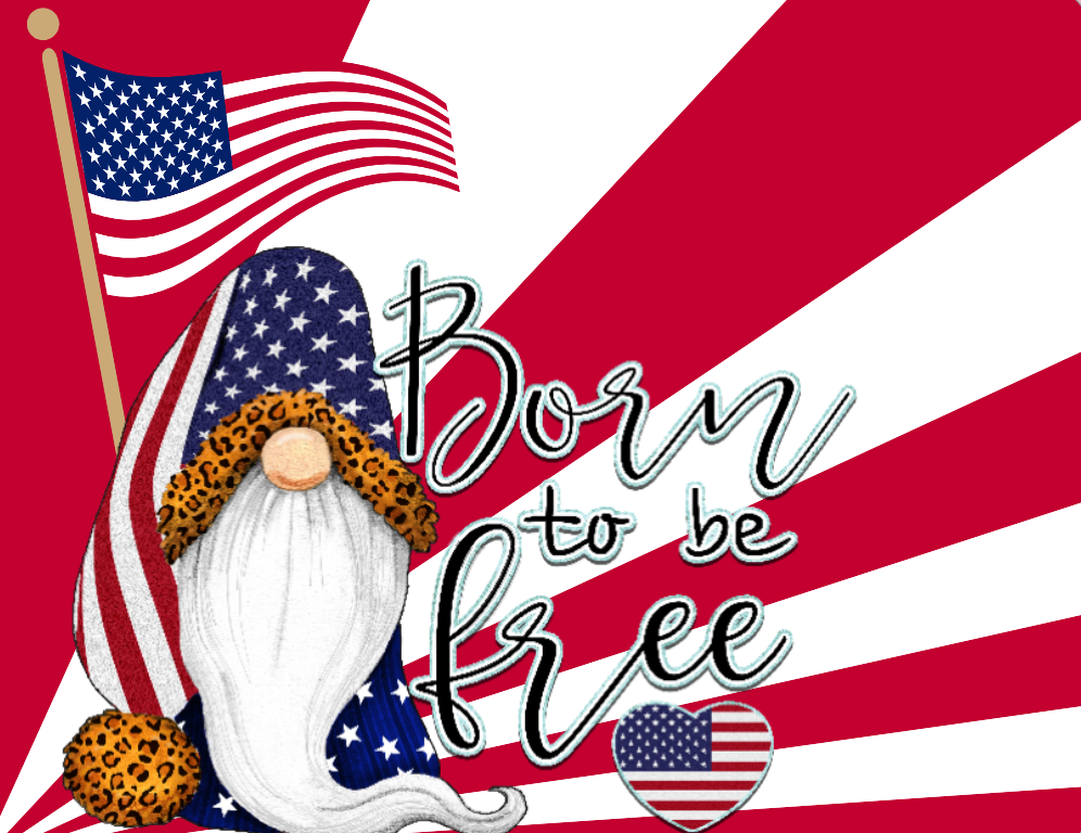 Born to be free gnome sign