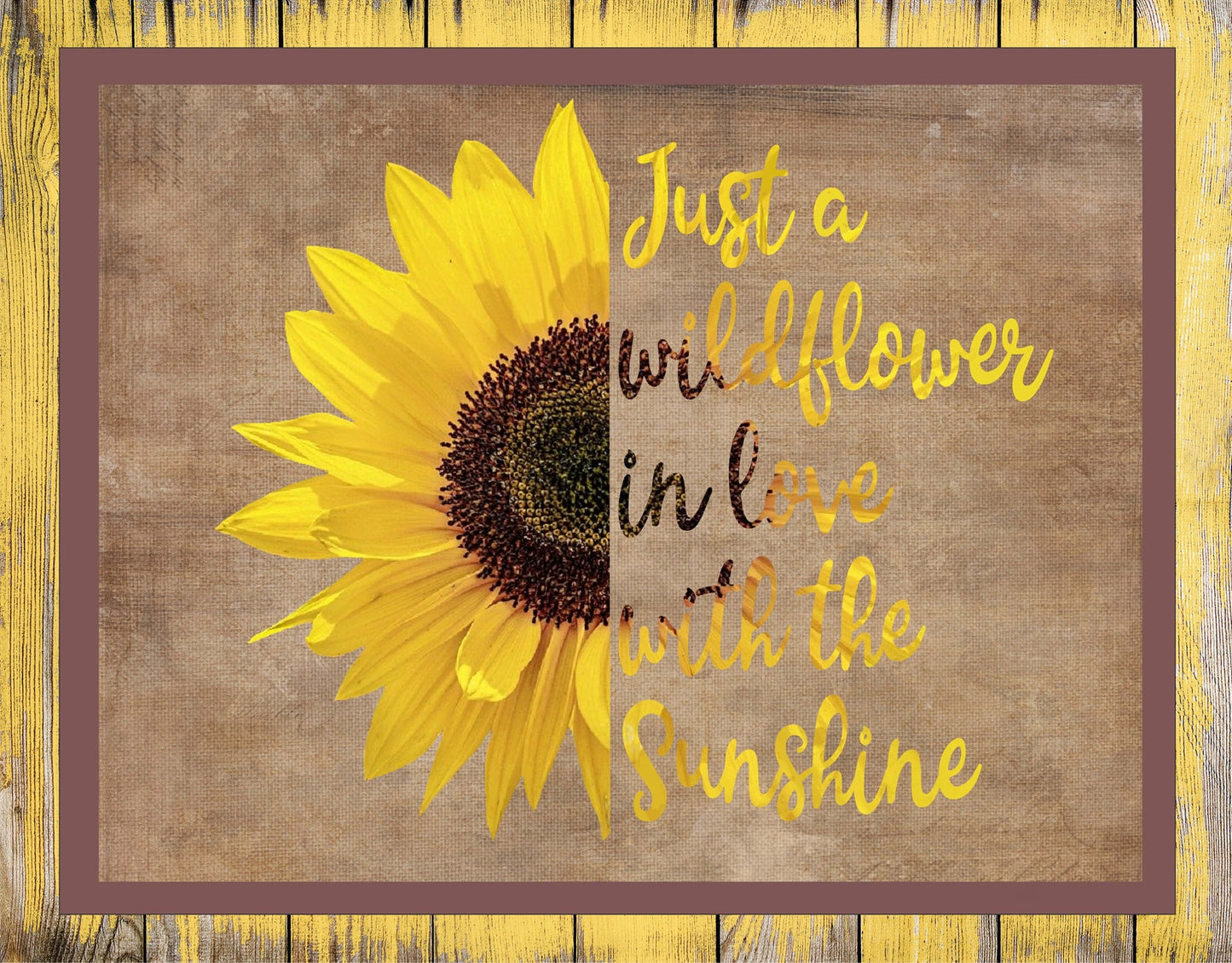 Wild Flower in Love with Sunshine